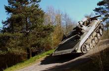 30 min BMP Schützenpanzer